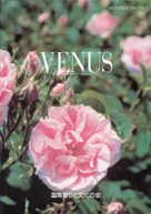 VENUS 表紙