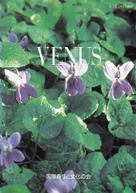 VENUS 表紙