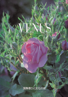 VENUS 表紙