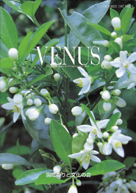 VENUS 表紙