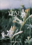 VENUS 表紙